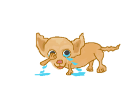 Chiwatan of chihuahua(Animation) sticker #15027887