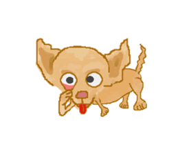 Chiwatan of chihuahua(Animation) sticker #15027893
