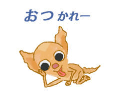 Chiwatan of chihuahua(Animation) sticker #15027895