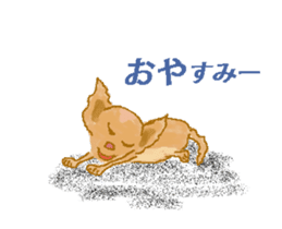 Chiwatan of chihuahua(Animation) sticker #15027896