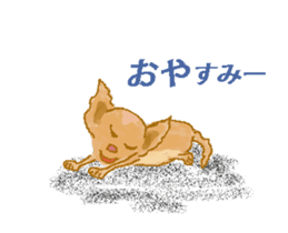 Chiwatan of chihuahua(Animation) sticker #15027896