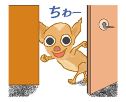 Chiwatan of chihuahua(Animation) sticker #15027898