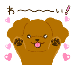 Toy poodle<Dog breed > sticker #15032213
