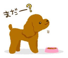 Toy poodle<Dog breed > sticker #15032215