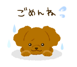 Toy poodle<Dog breed > sticker #15032216