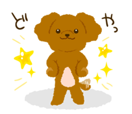 Toy poodle<Dog breed > sticker #15032219