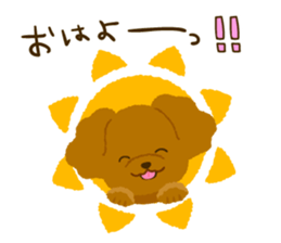 Toy poodle<Dog breed > sticker #15032220