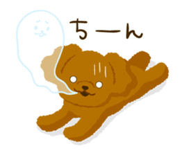 Toy poodle<Dog breed > sticker #15032227