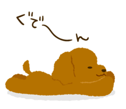 Toy poodle<Dog breed > sticker #15032228