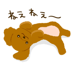 Toy poodle<Dog breed > sticker #15032230