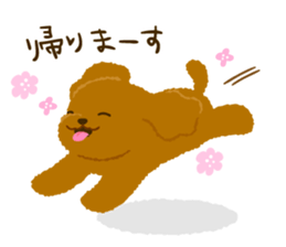 Toy poodle<Dog breed > sticker #15032234