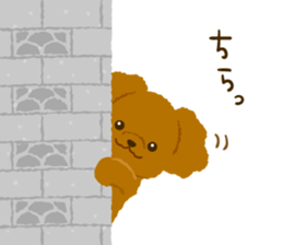Toy poodle<Dog breed > sticker #15032235