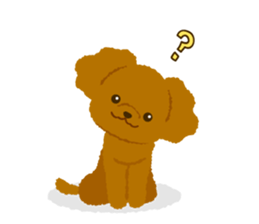 Toy poodle<Dog breed > sticker #15032236
