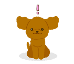 Toy poodle<Dog breed > sticker #15032237