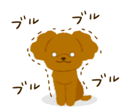 Toy poodle<Dog breed > sticker #15032242