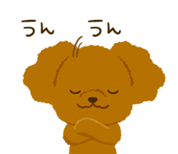 Toy poodle<Dog breed > sticker #15032243