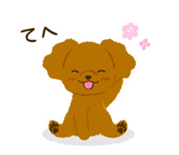 Toy poodle<Dog breed > sticker #15032245