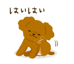 Toy poodle<Dog breed > sticker #15032248