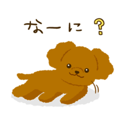 Toy poodle<Dog breed > sticker #15032249
