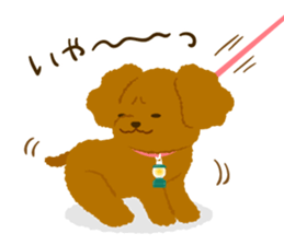 Toy poodle<Dog breed > sticker #15032250