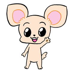 Chihuahua(Color: Cream)<Dog breed >