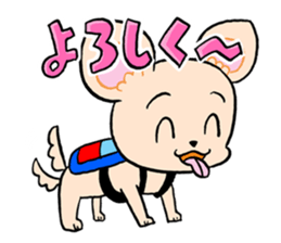 Chihuahua(Color: Cream)<Dog breed > sticker #15032350