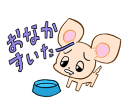 Chihuahua(Color: Cream)<Dog breed > sticker #15032358