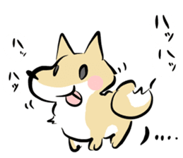 3 kinds of Shiba dog sticker #15032996