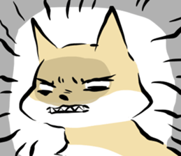 3 kinds of Shiba dog sticker #15033002