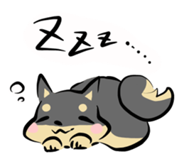 3 kinds of Shiba dog sticker #15033003