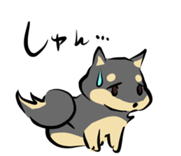 3 kinds of Shiba dog sticker #15033006