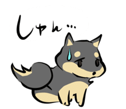 3 kinds of Shiba dog sticker #15033006