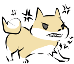 3 kinds of Shiba dog sticker #15033014