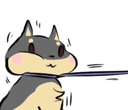 3 kinds of Shiba dog sticker #15033015