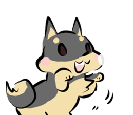 3 kinds of Shiba dog sticker #15033018