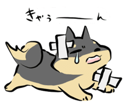 3 kinds of Shiba dog sticker #15033024