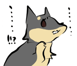 3 kinds of Shiba dog sticker #15033027