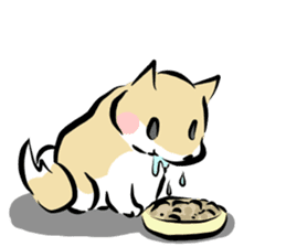 3 kinds of Shiba dog sticker #15033035