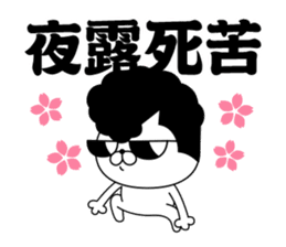 Yankee cat | Graduation photograph sticker #15033624