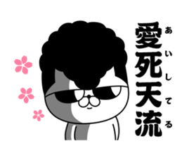 Yankee cat | Graduation photograph sticker #15033645