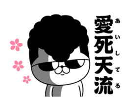 Yankee cat | Graduation photograph sticker #15033645