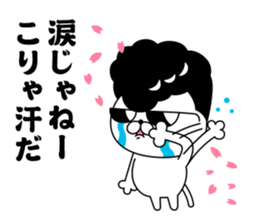 Yankee cat | Graduation photograph sticker #15033650