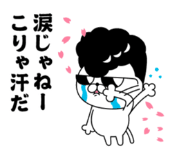 Yankee cat | Graduation photograph sticker #15033650