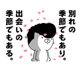 Yankee cat | Graduation photograph sticker #15033654