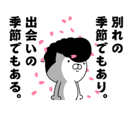 Yankee cat | Graduation photograph sticker #15033654