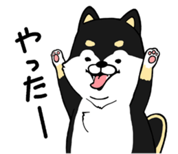 The Shiba Times sticker #15034525