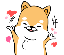 The Shiba Times sticker #15034542