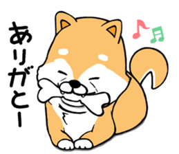 The Shiba Times sticker #15034548