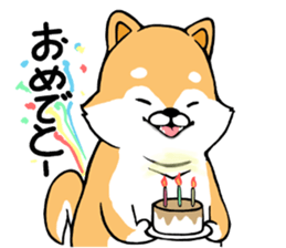 The Shiba Times sticker #15034549