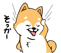 The Shiba Times sticker #15034550